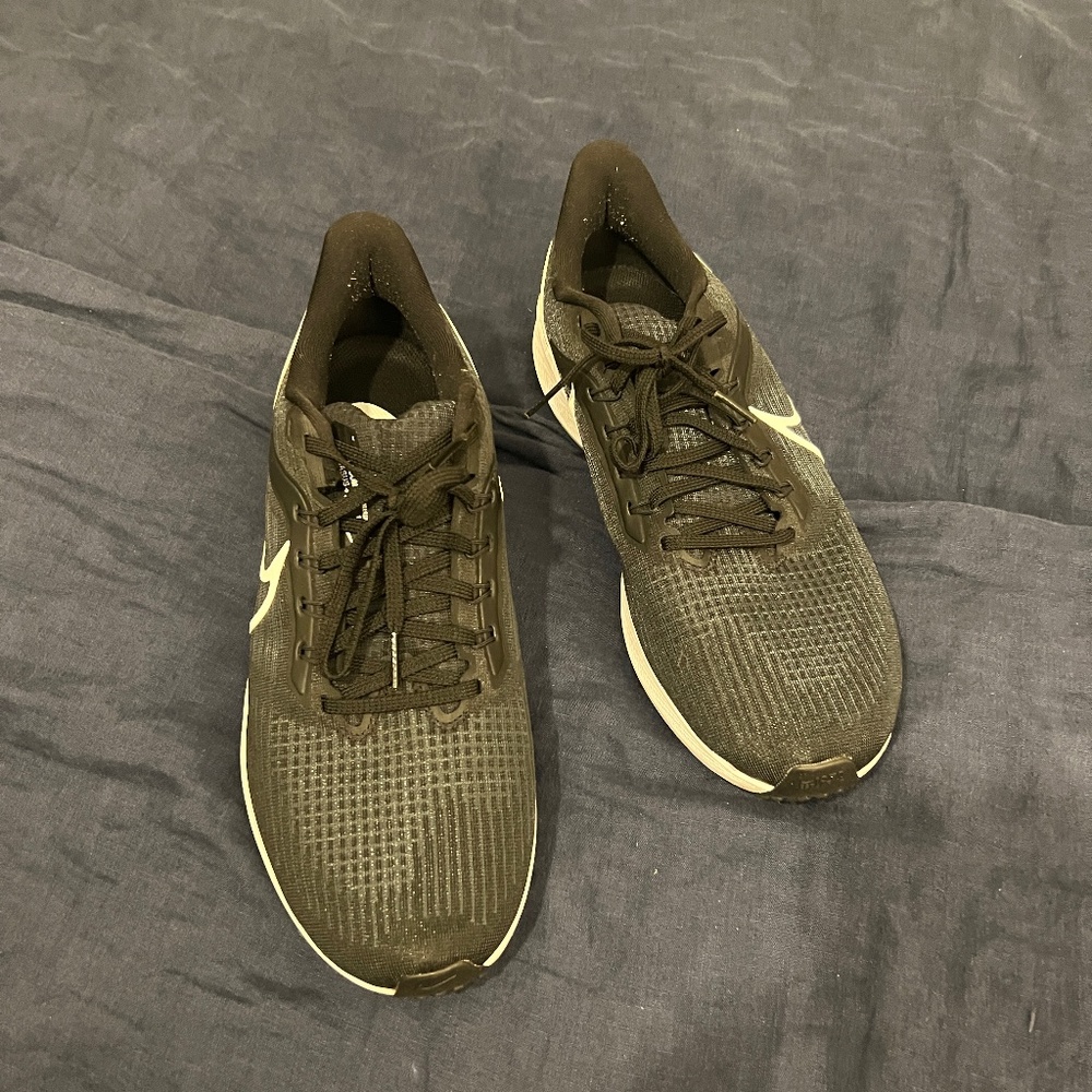 Nike Pegasus 39 size 11.5